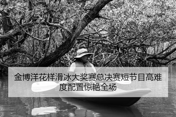 jin-bo-yang-hua-yang-hua-bing-da-jiang-sai-zong-jue-sai-duan-jie-mu-gao-nan-du-pei-zhi-jing-yan-quan-chang-2-687.jpg